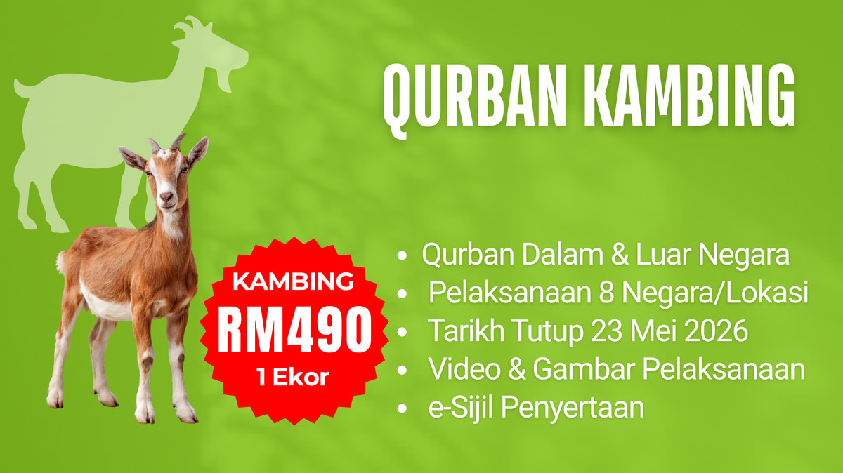 Qurban Kambing Seekor